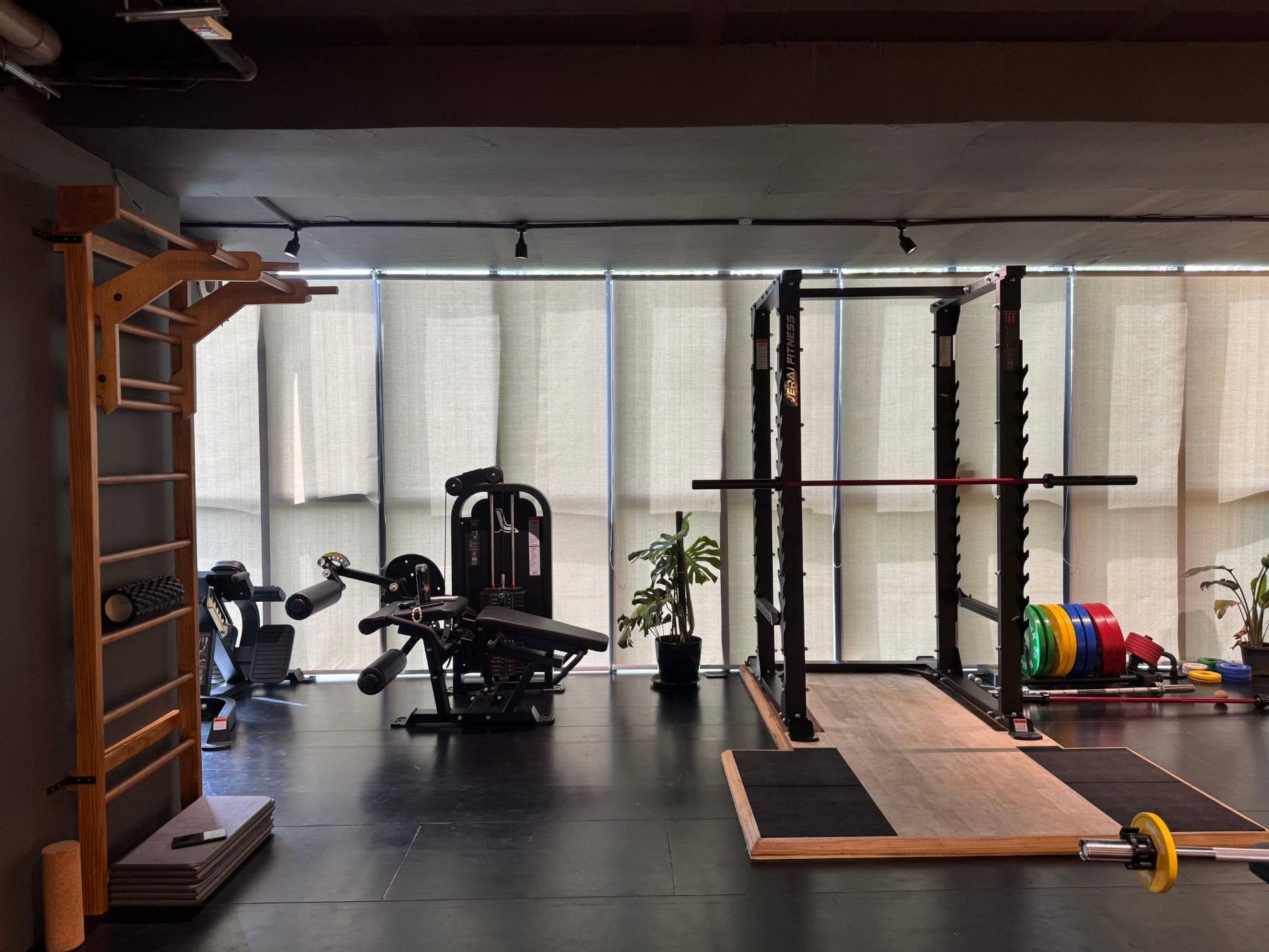 The Like Human training floor in Kothrud: timber wall bars, a power rack on a timber lifting platform, plants and linen-screened windows
